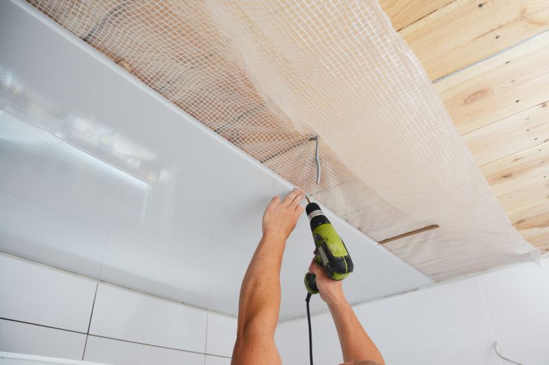 Bathroom Ceiling Painting